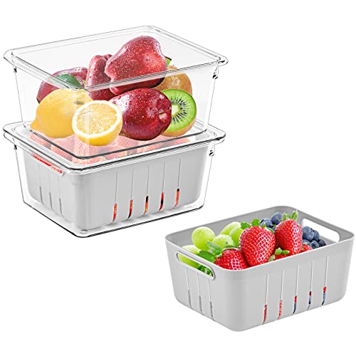 Puricon (2 Pack) Fresh Food Containers for Fridge, Fruit Storage Vegetable Keeper Produce Saver with Colander & Lid, Stackable Refrigerator Organizers for Salad Berry Lettuce, BPA Free -Small