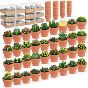 36 pcs succulent candles decorative cactus tealight candle tea lights handmade baby shower candle decorations plant candle with mini terracotta clay candle holders for wedding home party decor