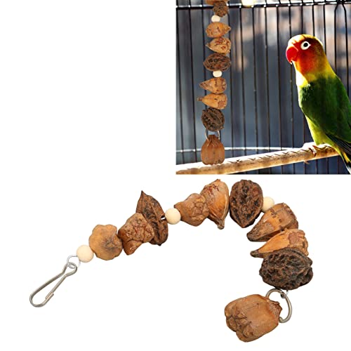 Nuts Chew Toy, Bird Chew Toys, Parrot Toys Grinding Mouth Bite Resistance Logs Natural Nuts Hanging Parrot Chew Toys Bird Toys for Parrots Budgies Macaws