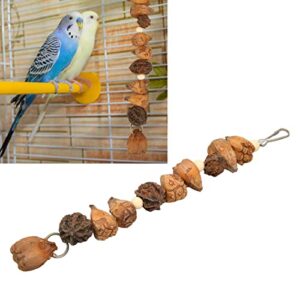 Nuts Chew Toy, Bird Chew Toys, Parrot Toys Grinding Mouth Bite Resistance Logs Natural Nuts Hanging Parrot Chew Toys Bird Toys for Parrots Budgies Macaws