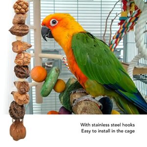 Nuts Chew Toy, Bird Chew Toys, Parrot Toys Grinding Mouth Bite Resistance Logs Natural Nuts Hanging Parrot Chew Toys Bird Toys for Parrots Budgies Macaws