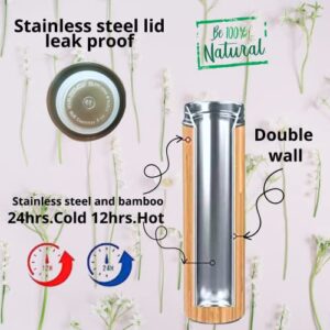 Go Green. Coffee and Tea Thermo Stainless steel double wall with tea infuser. Eco design. Coffee and tea. 18 oz. Leak proof lid. Best gift for coffee lovers. (Large)