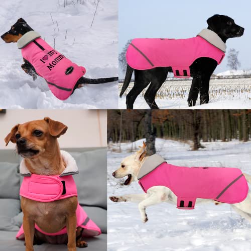 Doglay Cute Dog Coat, Warm Dog Winter Jacket Reflective Waterproof Dog Winter Coat with Thicken Fleece, Puppy Coat for Small Medium Large Dogs.