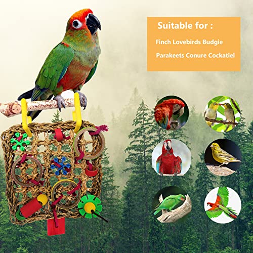 Acsist Bird Toys Parrot Toys Birds Foraging Toys Edible Seagrass Woven Climbing Hammock Mat with Colorful Bird Chew Toys for Lovebirds Finch Small Medium Parakeets