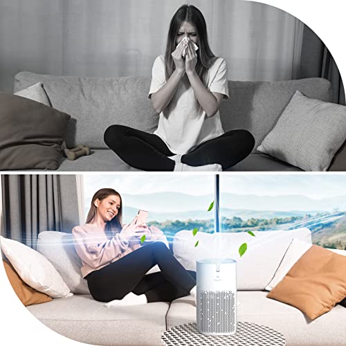 Air Purifier for Home Large Room, Bagotte 4-in-1 H13 HEPA Filter Air Purifier up to 1725 ft² in 60 Min, 24dB Quiet 4 Speeds 6 watts Sleep Mode Energy Saving, Remove 99.97% Dust Smoke Odor Ozone Free