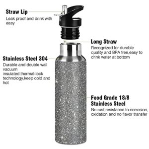 Grey Shiny Water Bottle with Straw Lid, 20 Oz Stainless Steel Insulated Keeps Hot and Cold Bottle, Leakproof Sports Gym Cycling Outdoor Water Flask Thermos Bottle