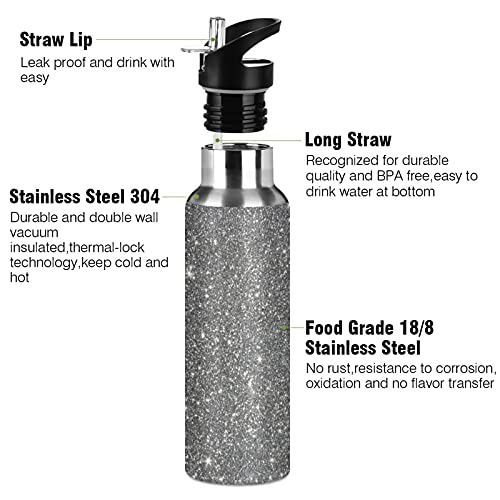 Grey Shiny Water Bottle with Straw Lid, 20 Oz Stainless Steel Insulated Keeps Hot and Cold Bottle, Leakproof Sports Gym Cycling Outdoor Water Flask Thermos Bottle