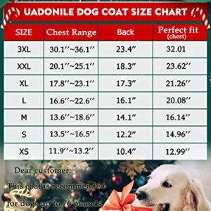 Uadonile Dog Coat British Style Plaid Christmas Jackets, Windproof Reversible,Reflective Dogs Winter Warn Snow Coat, Cold Weather Coats for Small Medium and Large Boy Girl