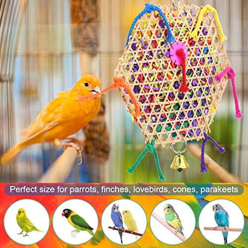 AK KYC Bird Parrot Toys，2 Pack Bird Hanging Foraging Shredder Toys for Small Medium Small Bird Conure Cockatiel Parrotlet Lovebird Budgie