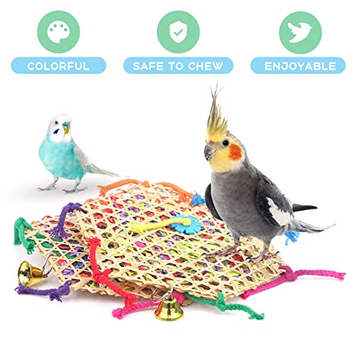 AK KYC Bird Parrot Toys，2 Pack Bird Hanging Foraging Shredder Toys for Small Medium Small Bird Conure Cockatiel Parrotlet Lovebird Budgie