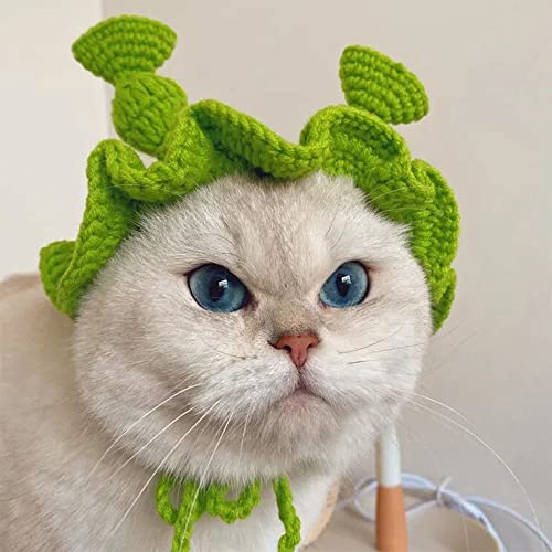 Pet Hat Funny Shrek Cat Hat Handmade Knitted Woolen Yarn Hat Classic Retro Pet Sunglasses，Apply to Pet Photo Suit, Pet Supplies for Small Dog and Cat(Shrek)