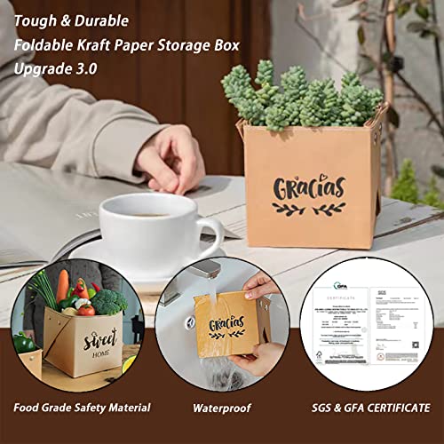 Teweiqi Foldable - Kraft - Paper Plant Baskets for Indoor Potted Plants, Storage Box Storage Basket brown M 4 x 4 x 4 inches
