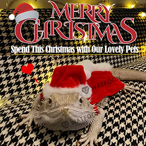 Christmas Bearded Dragon Costume Reptile Santa Hat Scarf Ferret Xmas Hat Reptile Straw Hat with Antlers Adjustable Elastic Chin Strap (Costume + Sling)