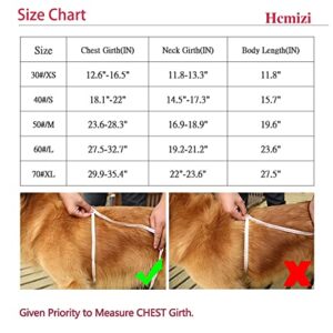 HCMIZI Fleece Lined Warm Dog Jacket for Puppy Winter Cold Weather,Soft Windproof Small Dog Coat (X-Large)