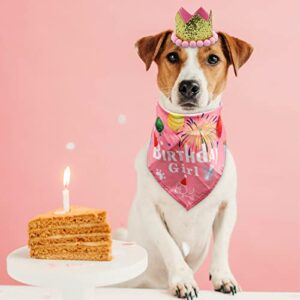 LEBERY Dog Birthday Bandana Hat Set - Dog Boys Girls Birthday Hat Cat Dog Pink Birthday Decorations for Small Medium Dog Cat Pet (Pink Scarf & Crown)