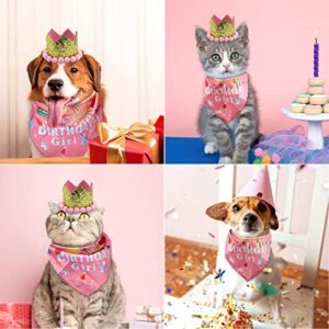 LEBERY Dog Birthday Bandana Hat Set - Dog Boys Girls Birthday Hat Cat Dog Pink Birthday Decorations for Small Medium Dog Cat Pet (Pink Scarf & Crown)