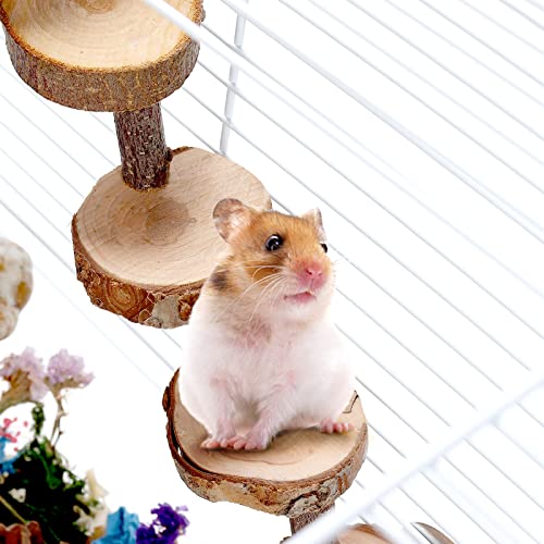 DAMPET Hamster Chew Toys, Hamster Activity Toys, Gerbil Rat Guinea Pig Chinchilla Chew Toys, Toys Accessories for Teeth Care,Natural Apple Wood Toys for Hamster, Rabbits, Bunny, Gerbil (Style 4)