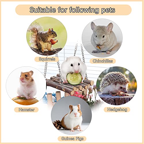 DAMPET Hamster Chew Toys, Hamster Activity Toys, Gerbil Rat Guinea Pig Chinchilla Chew Toys, Toys Accessories for Teeth Care,Natural Apple Wood Toys for Hamster, Rabbits, Bunny, Gerbil (Style 4)