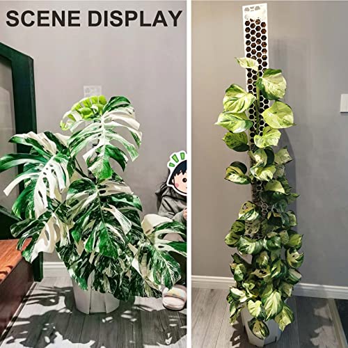 Haispring Plastic Moss Pole 4 Pcs Plant Stakes Extending to 62 Inch for Training Indoor Climbing Plants Such as Monstera to Grow Upwards-Use Plant Support Poles Work with Sphagnum Moss or Other soils