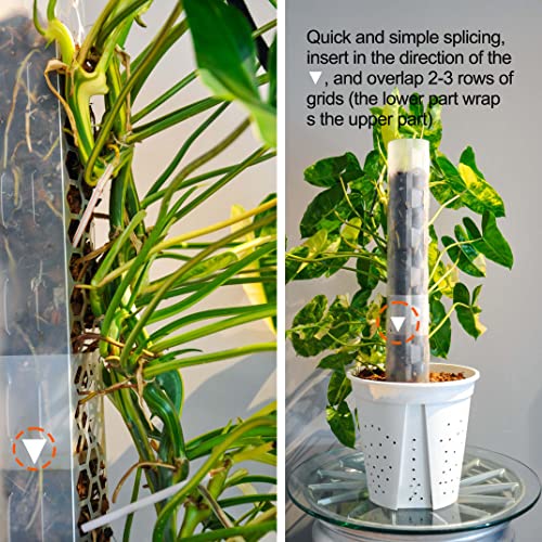 Haispring Plastic Moss Pole 4 Pcs Plant Stakes Extending to 62 Inch for Training Indoor Climbing Plants Such as Monstera to Grow Upwards-Use Plant Support Poles Work with Sphagnum Moss or Other soils