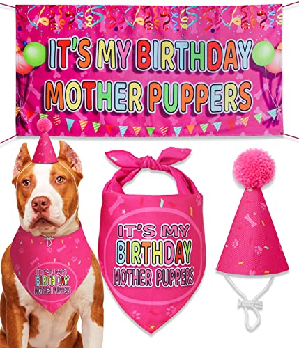 Odi Style Dog Birthday Party Supplies - Dog Birthday Girl Gift Set - Dog Birthday Bandana for Large, Medium Dogs, Puppy, Dog Party Hat and Cute Dog Birthday Banner, Pink