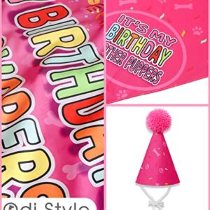 Odi Style Dog Birthday Party Supplies - Dog Birthday Girl Gift Set - Dog Birthday Bandana for Large, Medium Dogs, Puppy, Dog Party Hat and Cute Dog Birthday Banner, Pink