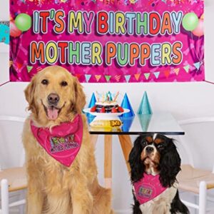 Odi Style Dog Birthday Party Supplies - Dog Birthday Girl Gift Set - Dog Birthday Bandana for Large, Medium Dogs, Puppy, Dog Party Hat and Cute Dog Birthday Banner, Pink