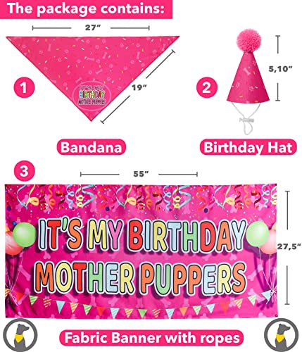 Odi Style Dog Birthday Party Supplies - Dog Birthday Girl Gift Set - Dog Birthday Bandana for Large, Medium Dogs, Puppy, Dog Party Hat and Cute Dog Birthday Banner, Pink