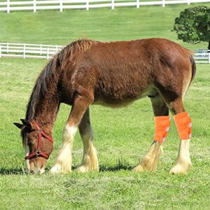 vomvomp hock shield protector for horse hock wrap horse hock leg joint sore boot