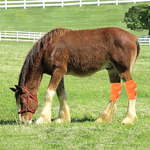 vomvomp Hock Shield Protector for Horse Hock Wrap Horse Hock Leg Joint Sore Boot