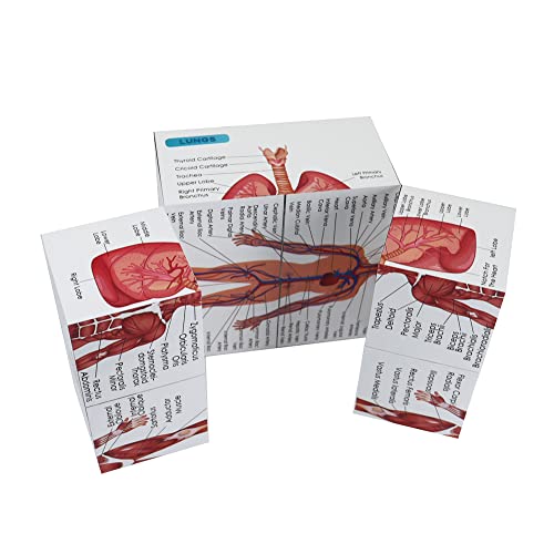 kaitnax Human Anatomical Poster Set Anatomy Study Cube Medical Student Learning Tool Anatomy Chart Set, 9 Parts Anatomy Heart, Muscular, Skeletal, Digestive, Circulatory etc. Gift Package 3.9"X3.9"