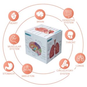 kaitnax Human Anatomical Poster Set Anatomy Study Cube Medical Student Learning Tool Anatomy Chart Set, 9 Parts Anatomy Heart, Muscular, Skeletal, Digestive, Circulatory etc. Gift Package 3.9"X3.9"