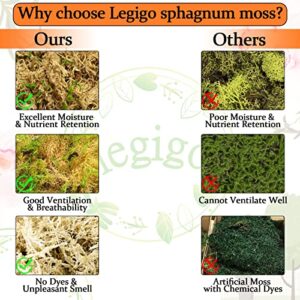 Legigo 5.3 OZ Premium Sphagnum Moss Potting Mix- Natural Succulent Carnivorous Plants Moss Dried, Long Fibered Sphagnum Moss Plant Growing Medium for Orchid Succulent Sarracenia Orchid Plants (6 QT)