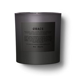 grace jones standard boy smells candle | 50 hour long burn | coconut & beeswax bled | luxury scented candles for home (8.5 oz)