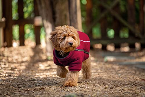 BoxDog Polar Fleece Warm Dog Jacket I Cold Weather Dog Coat | Dog Jackets Size XS, Small, Medium, Large, XLarge, XXL (Large, Red)