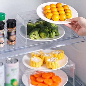 1 Pack Detachable Plastic Refrigerator Organizer Shelf Multi-Purpose Storage Rack for Fridge Cabinet Cupboard Desktop, Clear