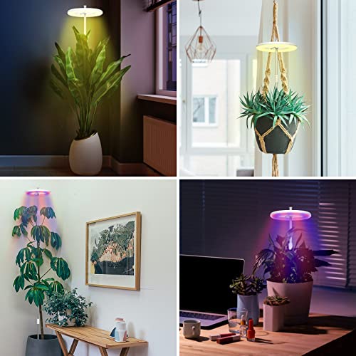 YUYMIKA 63.8 Inch Large Grow Lights for Indoor Plants, 72 LEDs Full Spectrum & Red Blue Plant Lights, Auto Timer with 10 Dimmable Levels, Height Adjustable Halo Grow Lamp for Small Tall Plants-1 Pack