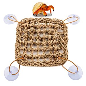 DQITJ Hermit Crab Hammock Natural Seagrass Fibers Hammock Small Reptile Climbing Toys Tank Accessories (Square Shape)