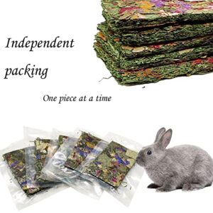 MUYG 10 Pcs Rabbit Chew Toys for Teeth,Chinchilla Natural Timothy Hay Chips Treats Guinea Pig Floral Scent Snacks Treats Dental Health Chewable for Hamsters,Rabbits,Bunny,Chinchillas