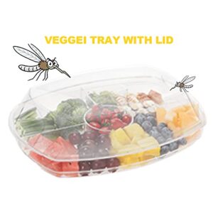 Fruit Platter Tray for Parties, Yatmung Serving Tray on Ice Serving Platter and Tray for Parties Veggie Tray with Lid 4 Section Catering Trays with Lids for Appetizers, Seafood, Desserts, 2 Layers