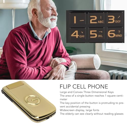 Dpofirs Unlocked Flip Phone 2G, Cell Phone for Seniors Kids, Big Button Mobile Phone with Large Sound, Dual SIM Dual Standy Phone, 4800mAh Battery