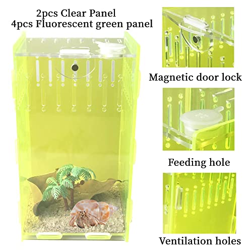 Reptile Terrarium,Vertical Acrylic Tarantula Enclosure Breeding Tank,Aquarium Breeding Tank 5" x 4" x 8"for Invertebrates and Small Tree Dwelling Reptiles,Mantis, Cricket,Snails,Frog-Fluorescent Green