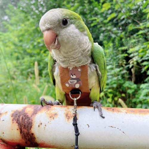 Bird Diaper Harness Flight Suit Clothes, Parrot Flight Suit with Leash for Parrot, Bird Flying Clothes with Rope and Handle for Outdoor Activities Training (with Leash,Green-cheeked Conure)