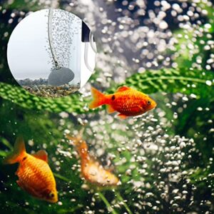 BLLREMIPSUR 2 Inch Air Stone Aquarium Bubble Diffuser, Hemisphere Shaped Airstones Oxygen Stone for Fish Tank, Pump and Hydroponics, Fits for 0.157 Inch / 4 mm Inner Dia Tube