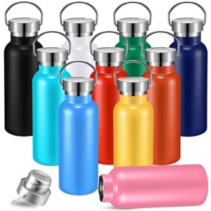 Mimorou 10 Pcs 17 oz Stainless Steel Sports Water Bottle Insulated Reusable Water Bottles with Handle Metal Water. Bottle for Hikers Gift, 10 Colors