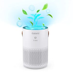 galanz personal air purifiers for bedroom, h13 true hepa air filter with fragrance sponge, 3-stage filtration for 99.99% smoke, dust, odors, mold, desktop air cleaner for pets, leather handle, white