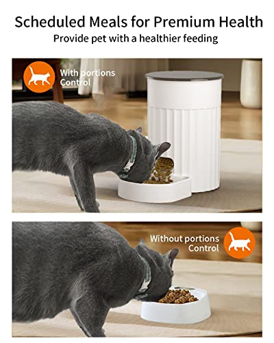 PAPIFEED Automatic Cat Feeders with APP: WiFi Pet Smart Dry Food Dispenser with Alexa & Scene Missions,Timed Auto Pet Feeder for Cats, Rabbits & Small Dogs Up to 10 Meals Per Day (12Cup/3L)