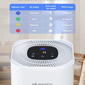 Dayette HEPA Air Purifiers for Home Large Room, CADR 300+m³/h Up to 1290ft² with Air Quality Sensor, H13 True HEPA Filter Remove 99.97% of Dust, Mold, Allergies, Odor, Pets Dander, Smoke, Pollen