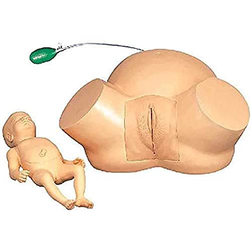 WFZY Demonstration Female Childbirth Manikin Advanced Midwifery Training Model Obstetrics and Gynecology Delivery Maternity Simulator for Nursing Medical Teaching