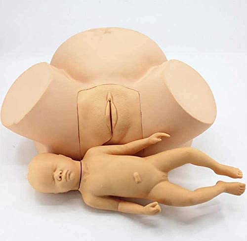 WFZY Demonstration Female Childbirth Manikin Advanced Midwifery Training Model Obstetrics and Gynecology Delivery Maternity Simulator for Nursing Medical Teaching